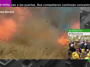 Una pareja celebra el anuncio del sexo de su hijo y acaba provocando un incendio de más de 19.000 hectáreas Una pareja celebra el anuncio del sexo de su hijo y acaba provocando un incendio de más de 19.000 hectáreas