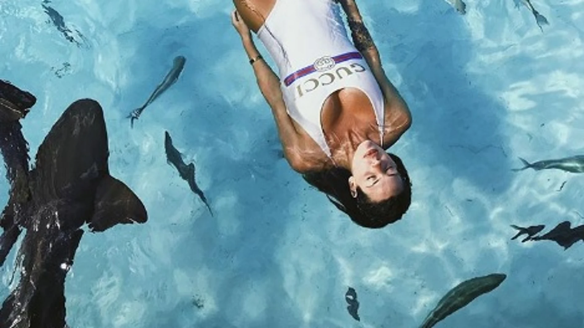 Laura Matamoros nadando entre tiburones