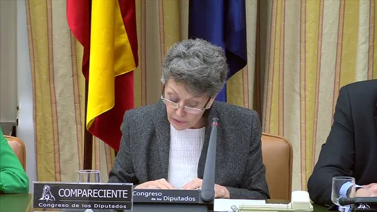 Rosa María Mateo pide perdón al diputado del PP al que insultó Rosa María Mateo pide perdón al diputado del PP al que insultó