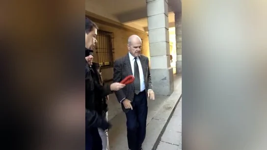 Militantes de Vox zarandean chorizos ante los acusados en el juicio de los ERE Militantes de Vox zarandean chorizos ante los acusados en el juicio de los ERE