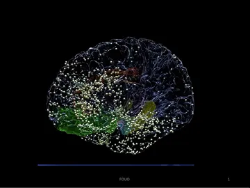 La estimulación de la corteza orbitofrontal lateral puede mejorar el estado de ánimo La estimulación de la corteza orbitofrontal lateral puede mejorar el estado de ánimo