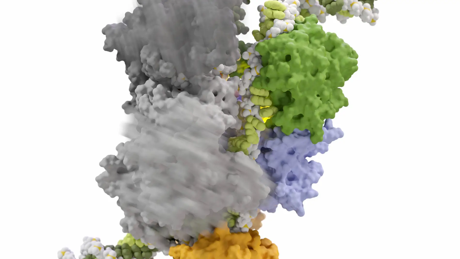 Una nueva herramienta logra mayor precision en la edicion genetica con CRISPR