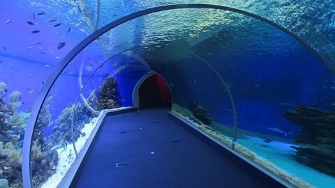 Eilat