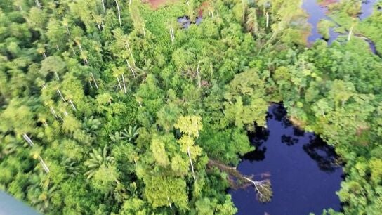 Vertido de petr&oacute;leo en la Amazonia peruana