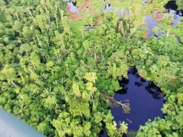 Vertido de petróleo en la Amazonia peruana Vertido de petróleo en la Amazonia peruana