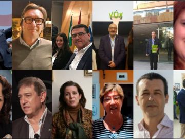 Los 12 diputados de Vox en el Parlamento de Andalucía Los 12 diputados de Vox en el Parlamento de Andalucía