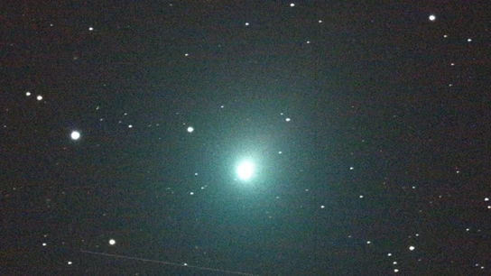 Imagen del cometa Wirtanen Imagen del cometa Wirtanen