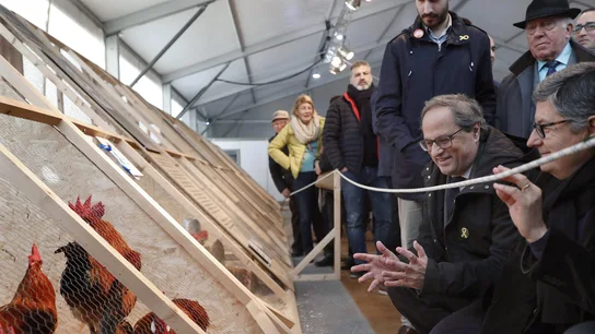 El presidente de la Generalitat, Quim Torra El presidente de la Generalitat, Quim Torra