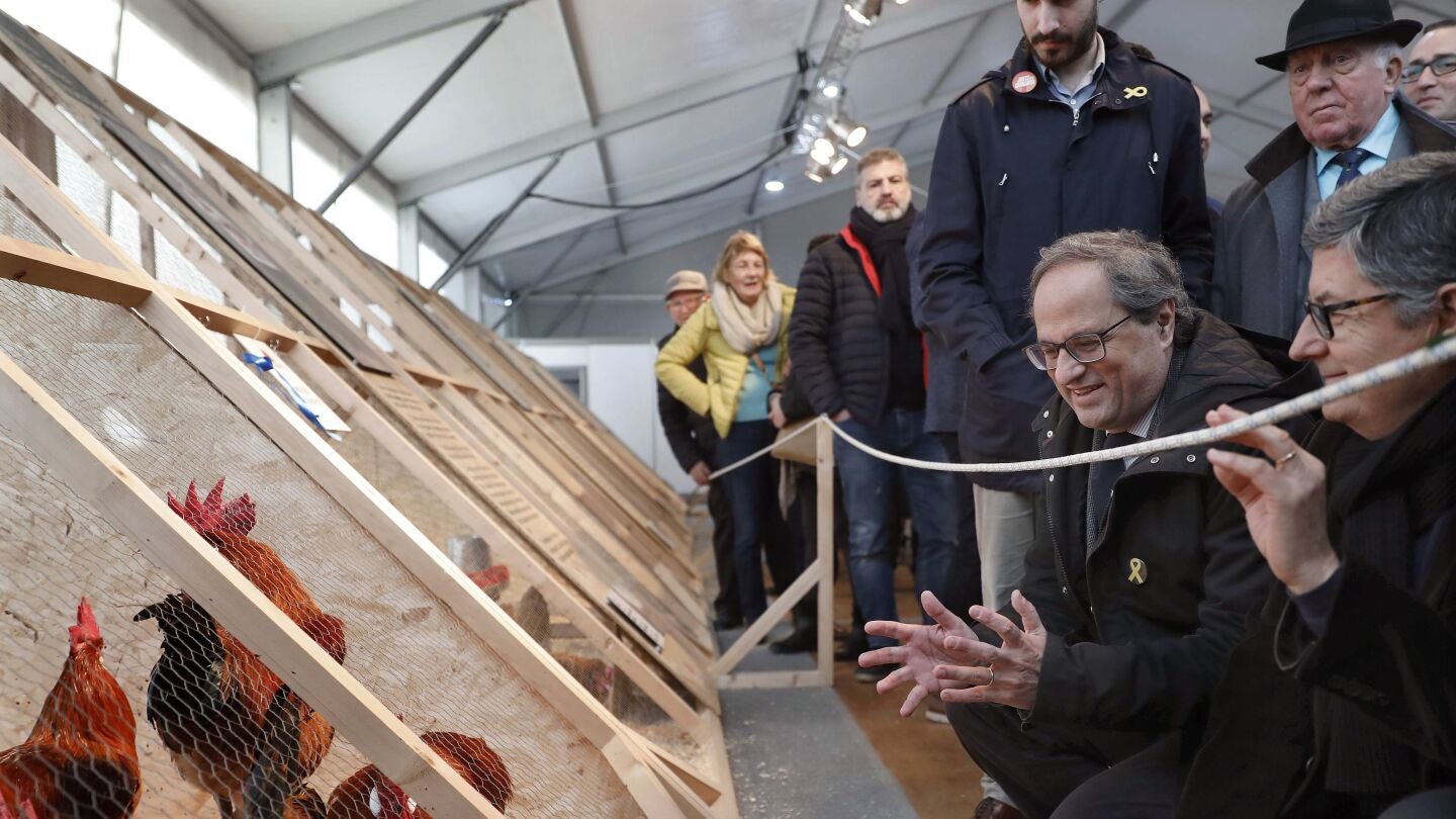 El presidente de la Generalitat, Quim Torra