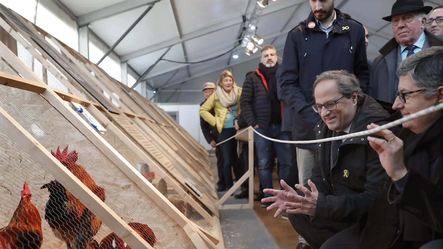 El presidente de la Generalitat, Quim Torra El presidente de la Generalitat, Quim Torra