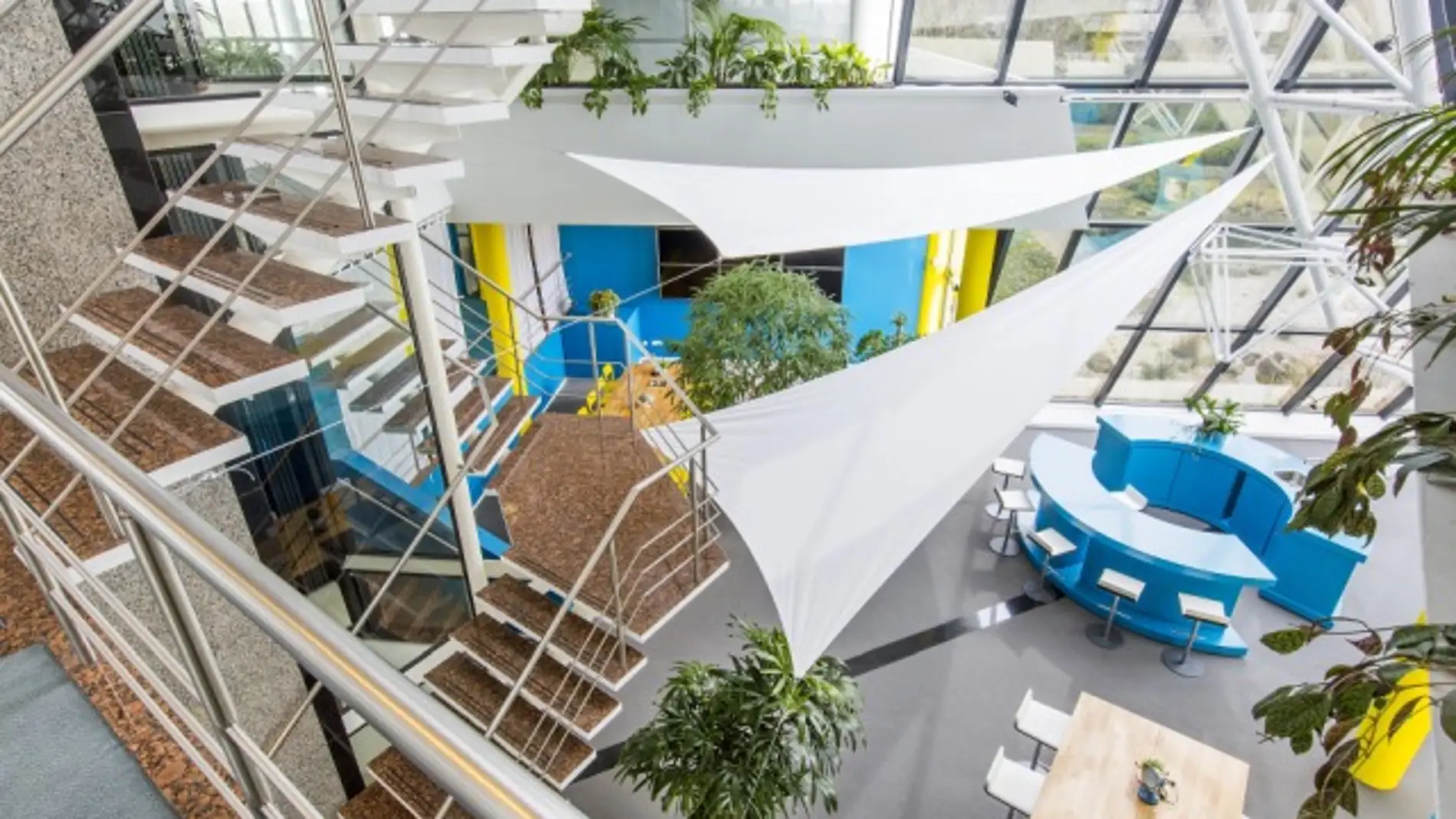 espacio de trabajo con diseño biofílico