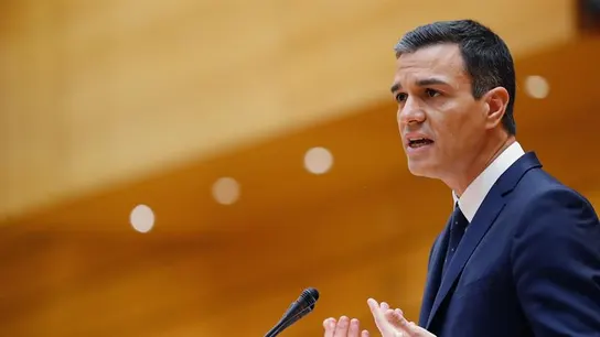 El presidente del Gobierno, Pedro Sánchez, en el Senado El presidente del Gobierno, Pedro Sánchez, en el Senado