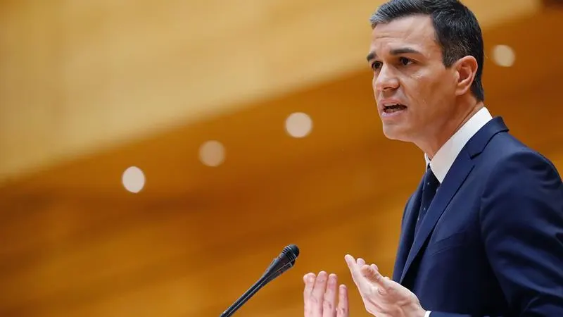 El presidente del Gobierno, Pedro Sánchez, en el Senado