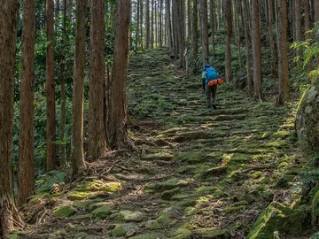 Kumano Kodo Kumano Kodo