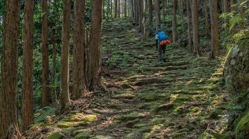 Kumano Kodo