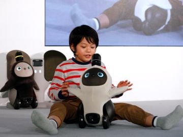Un niño interactúa con el nuevo robot doméstico 'Lovot', de la compañía Groove X Un niño interactúa con el nuevo robot doméstico 'Lovot', de la compañía Groove X