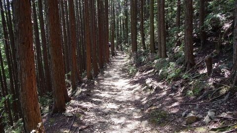 Kumano Kodo