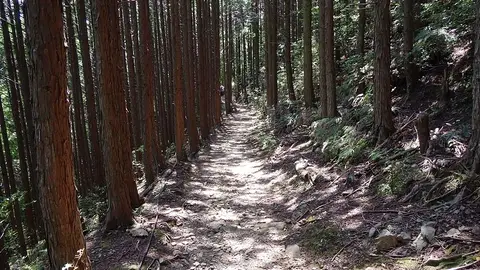 Kumano Kodo Kumano Kodo