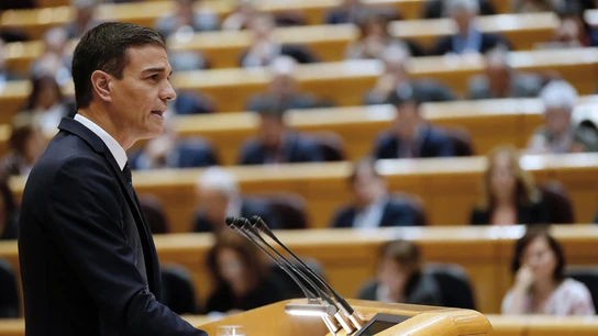 El presidente del Gobierno, Pedro Sánchez , durante su comparecencia en sesión plenaria del Senado. El presidente del Gobierno, Pedro Sánchez , durante su comparecencia en sesión plenaria del Senado.