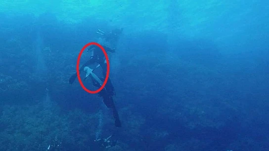 El ataque de un tiburón El ataque de un tiburón