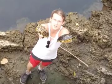 Las dos tortugas unidas con un candado Las dos tortugas unidas con un candado