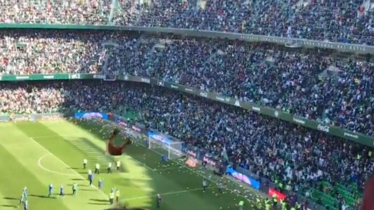 Una lluvia de peluches cae sobre el c&eacute;sped del Benito Villamar&iacute;n