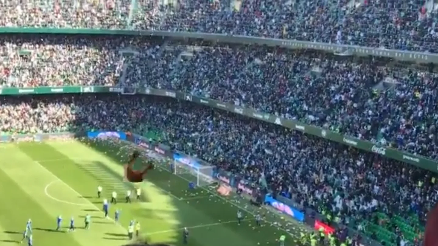 Una lluvia de peluches cae sobre el césped del Benito Villamarín Una lluvia de peluches cae sobre el césped del Benito Villamarín