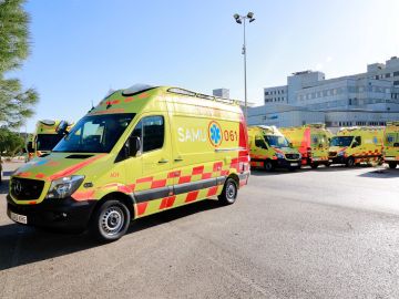 Fallece un menor de 8 años al precipitarse por un quinto piso en Alicante Fallece un menor de 8 años al precipitarse por un quinto piso en Alicante