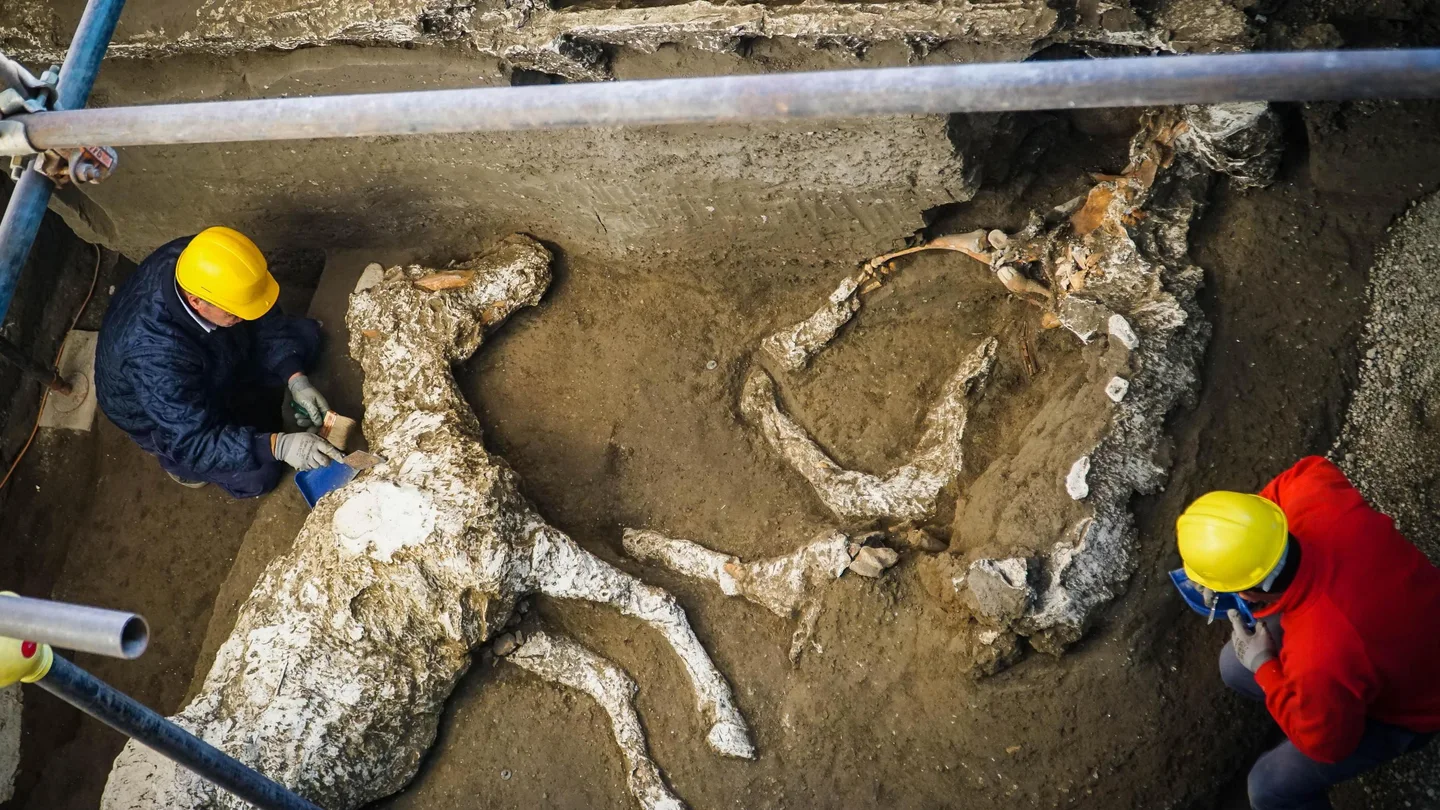 Caballo enjaezado Pompeya Caballo enjaezado Pompeya