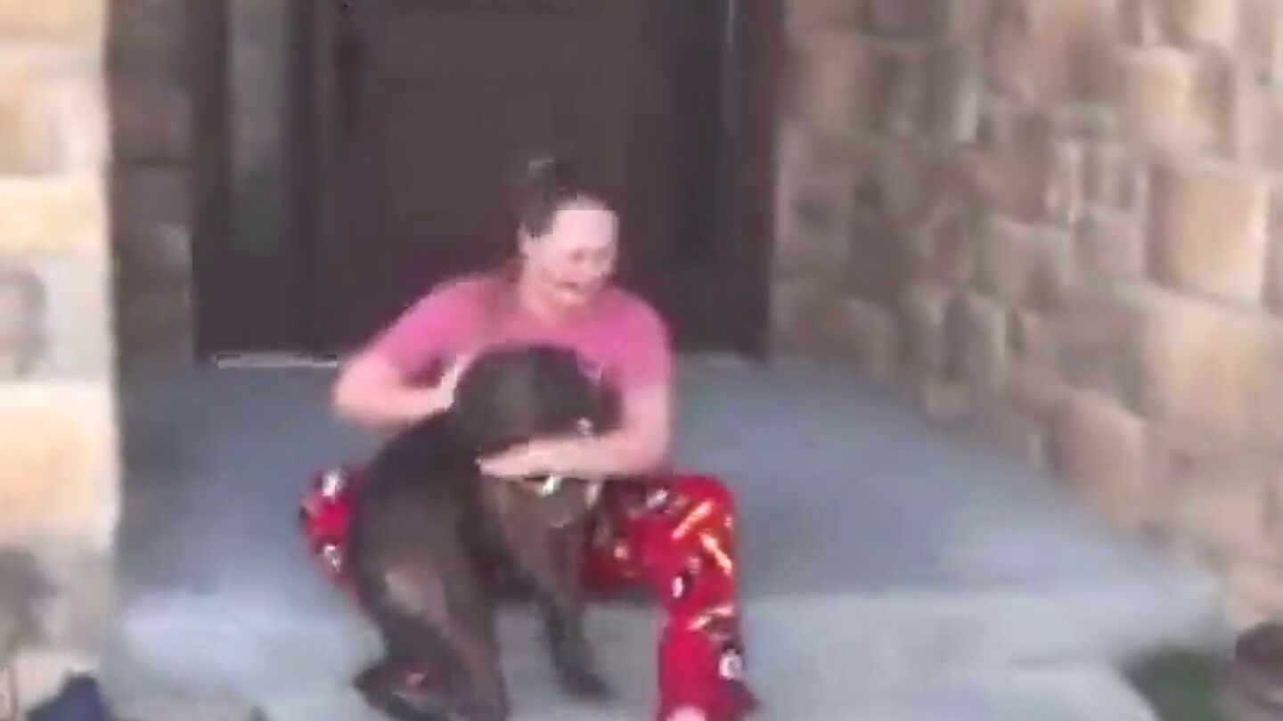 Imagen de la conmovedora reacci&oacute;n de una joven al saber que sus padres adoptaron al perro que ella cuidaba en un refugio