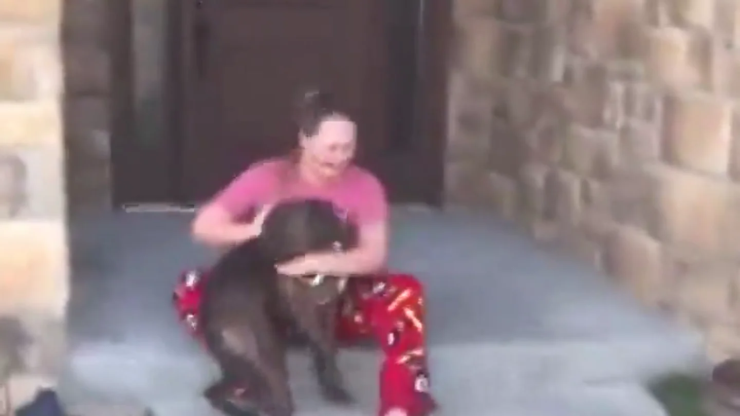 Imagen de la conmovedora reacción de una joven al saber que sus padres adoptaron al perro que ella cuidaba en un refugio Imagen de la conmovedora reacción de una joven al saber que sus padres adoptaron al perro que ella cuidaba en un refugio