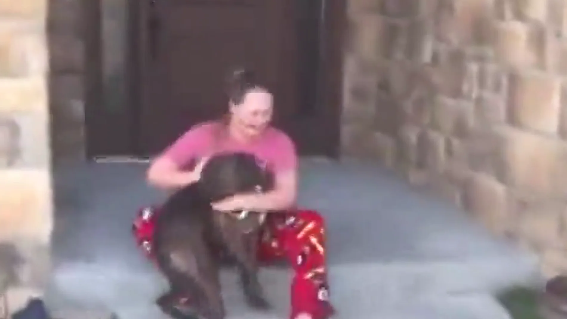 Imagen de la conmovedora reacción de una joven al saber que sus padres adoptaron al perro que ella cuidaba en un refugio