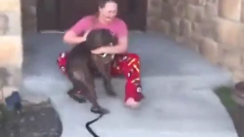 Imagen de la conmovedora reacción de una joven al saber que sus padres adoptaron al perro que ella cuidaba en un refugio