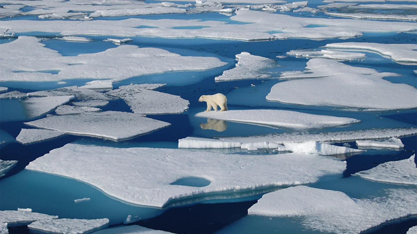 El deshielo en el Ártico Polar Contraparte