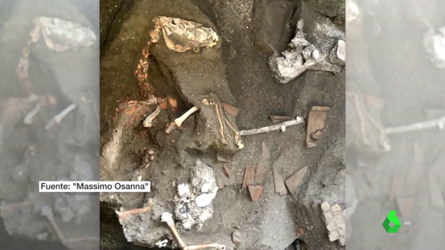 Encuentran en Pompeya un caballo petrificado por la erupci&oacute;n del Vesubio