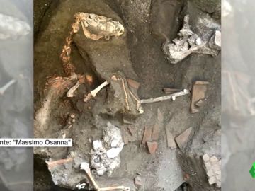 Encuentran en Pompeya un caballo petrificado por la erupción del Vesubio