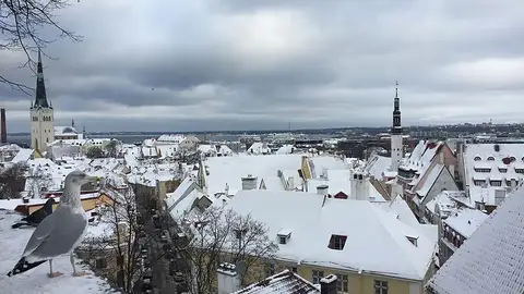 Tallin Tallin