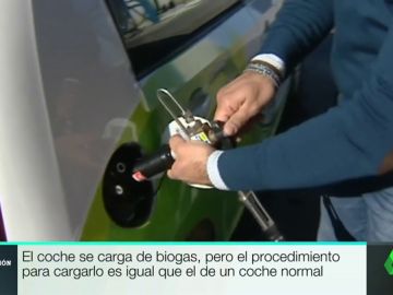 COCHES COCHES