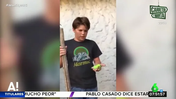 El inesperado final del triste entierro de un niño a su pájaro: aparece su perro y se lo lleva de un bocado