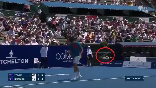 El truco de Tomic El truco de Tomic