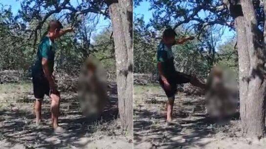 El hombre golpeando a su perra colgada del &aacute;rbol