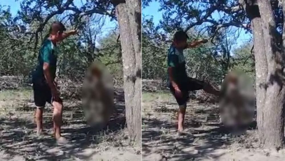 El hombre golpeando a su perra colgada del árbol
