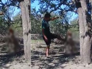 El hombre golpeando a su perra colgada del árbol El hombre golpeando a su perra colgada del árbol
