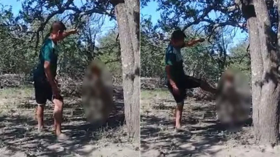 El hombre golpeando a su perra colgada del árbol