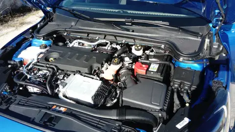 Ford Focus Wagon 2019 Ford Focus Wagon 2019