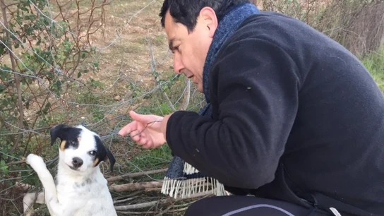 Juanma Moreno se encuentra un perrito abandonado Juanma Moreno se encuentra un perrito abandonado