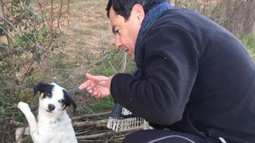 Juanma Moreno se encuentra un perrito abandonado