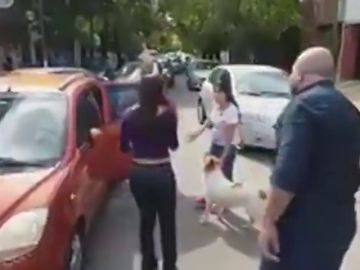 Un hombre evita el abandono de un perro en medio de la carretera