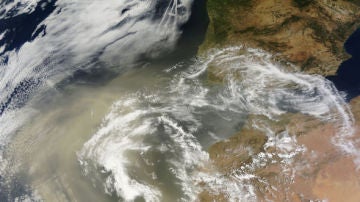 El polvo sahariano esta danando las microalgas de la peninsula