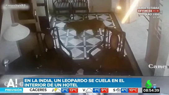Un leopardo irrumpe en la recepción de un hotel muy popular entre los famosos de Bollywood Un leopardo irrumpe en la recepción de un hotel muy popular entre los famosos de Bollywood